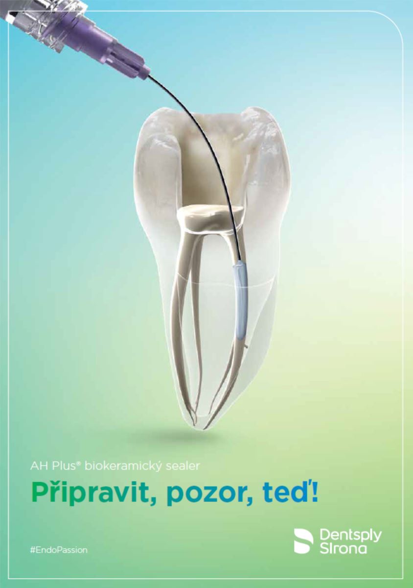 AH Plus Bioceramic Sealer starter kit HUFA